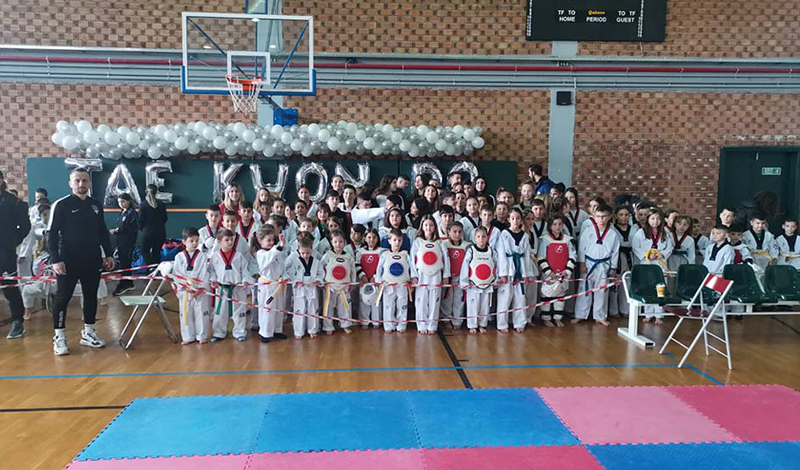 fight club kakarelis taekwondo agones