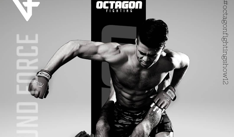 octagon fighting 201