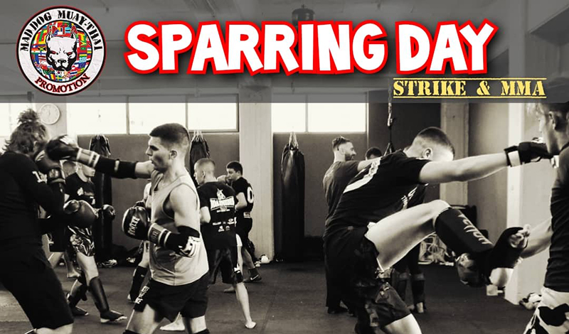 sparring trials mad dog promotion