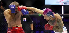 sean o malley ko ufc white house small