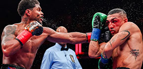 teofimo lopez shakur stevenson 300 small