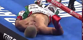 boxer ko proponitis small