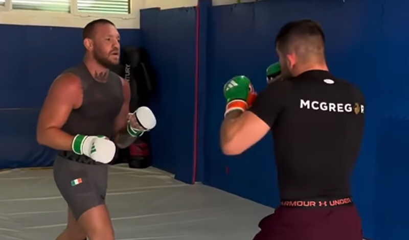 conor mcgregor training