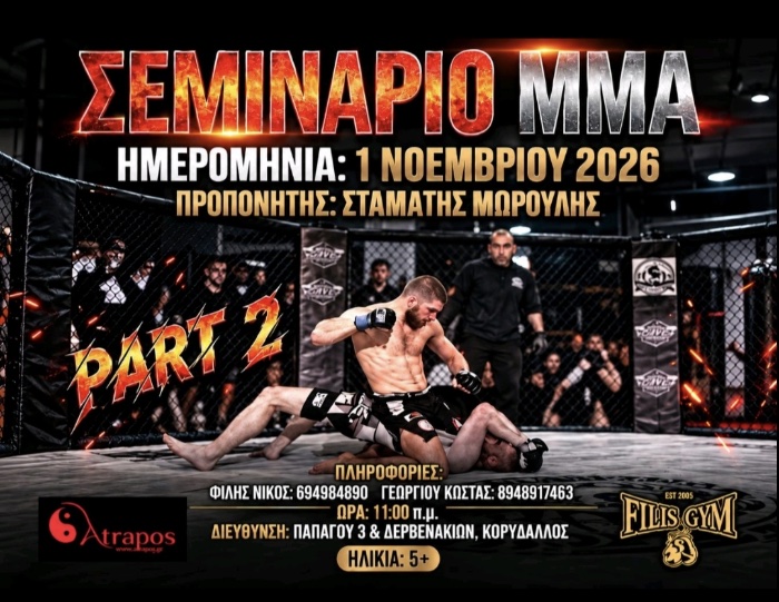 filis gym seminario mma 40