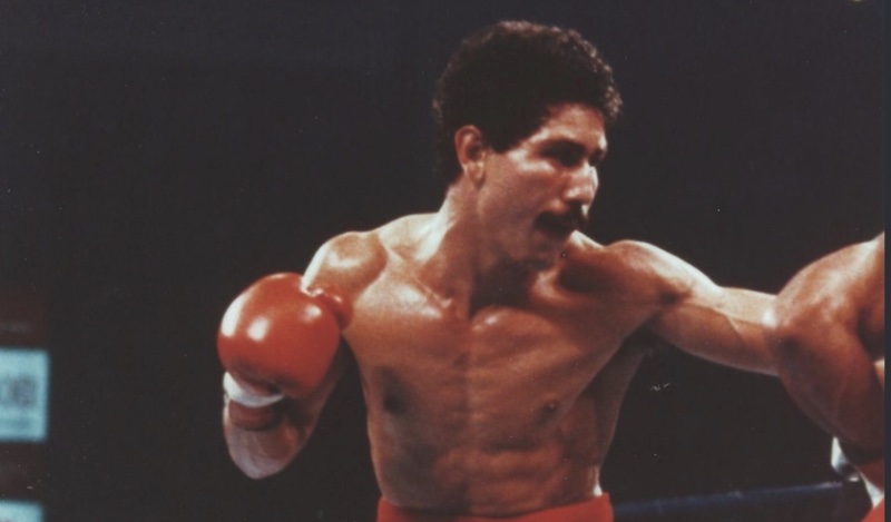 wilfredo gomez boxing