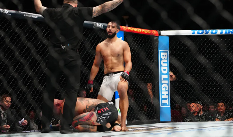 dominick reyes anthony smith ufc 310