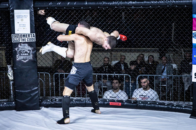 international mma festival 30143242