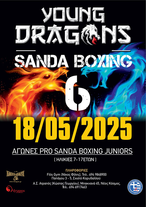 young dragons 6 afisa