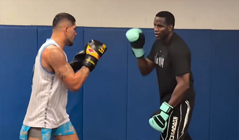 Alex Pereira Robelis Despaigne