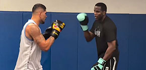 Alex Pereira Robelis Despaigne small