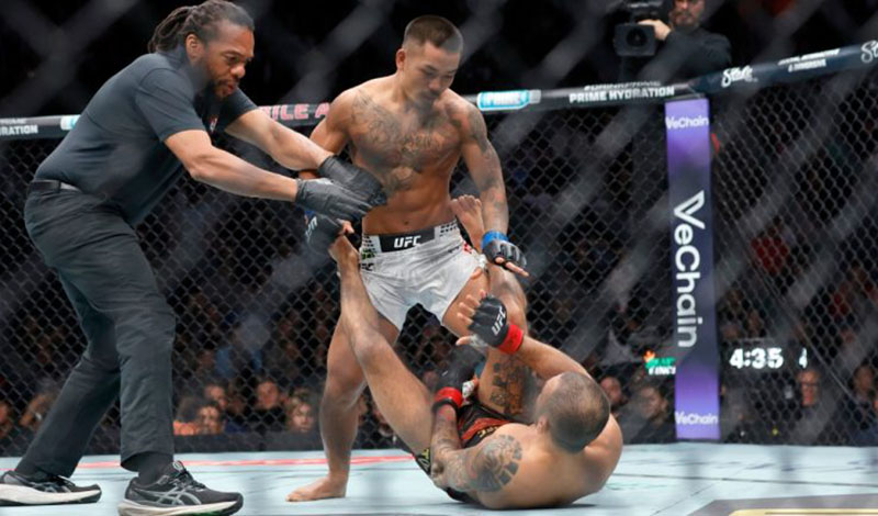 Joshua van alexandre pantoja ufc 323