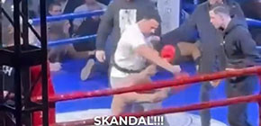 apostolh servia small