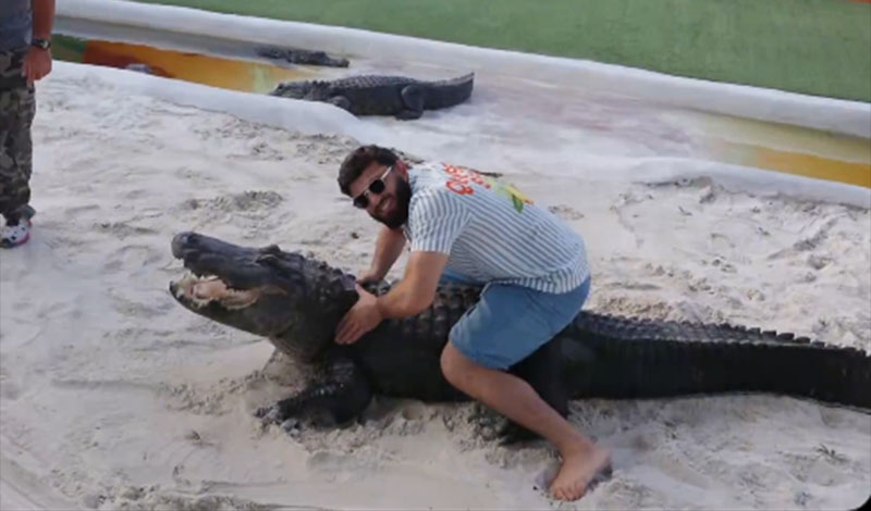 arman tsarukyan krotalias