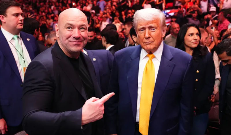 dana white donald trump