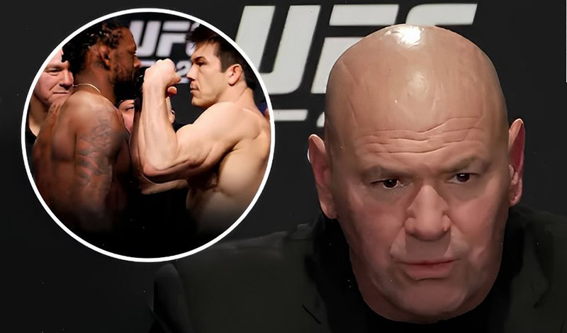 dana white stoixhmatismos