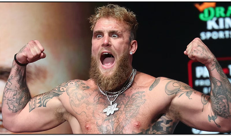 jake paul hulk hogan