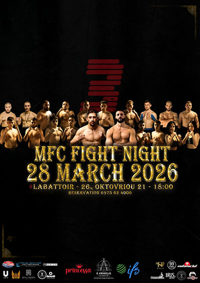 martin fight night 3 afisa POSTER