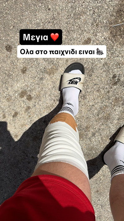 michaloutsos anartisi 9