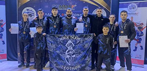 mma team leothor panellhniko kypello mma small