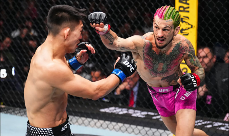 sean o malley song yadong ufc 324