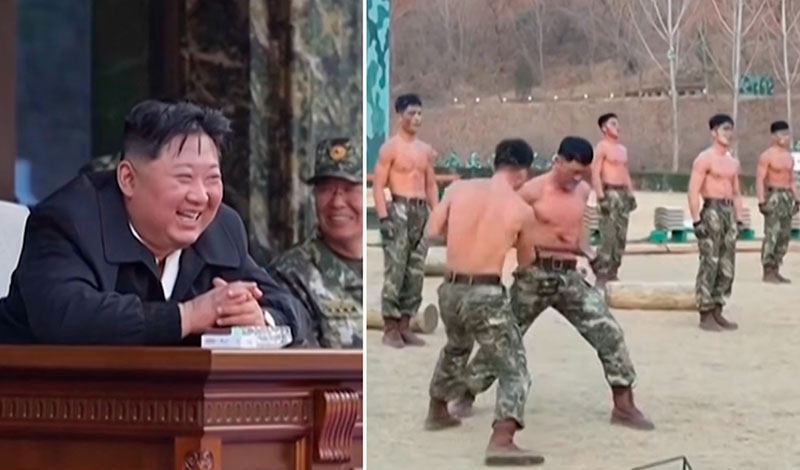 stratiotes voreios korea