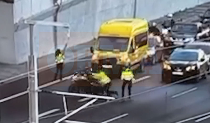 troxonomos parasyrsi