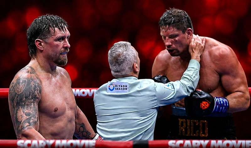 usyk verhoeven appeal
