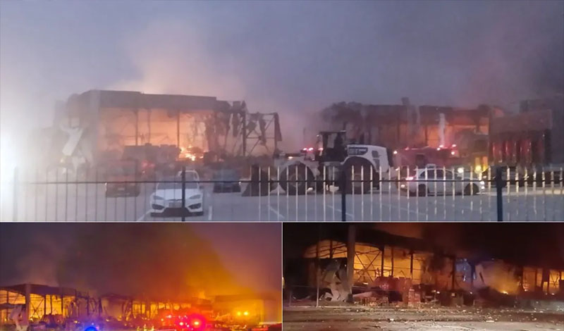 violanta trikala fotia