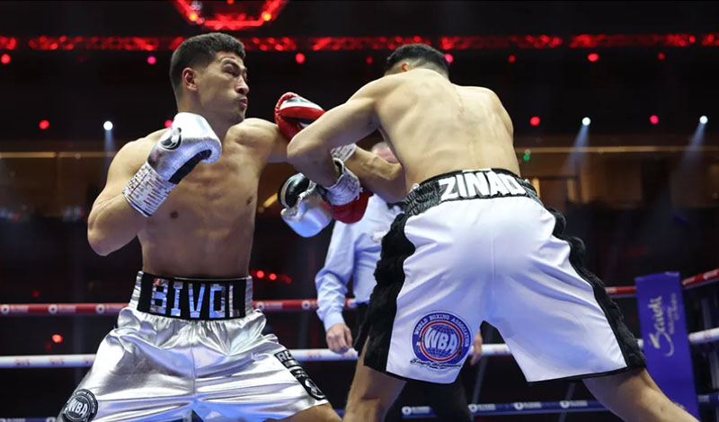 Dmitrii Bivol vs Malik Zinad