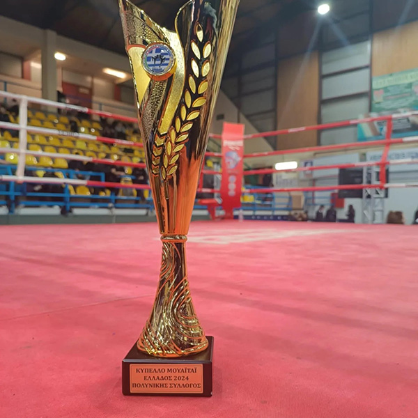 as aek agiou stefanou kypellouxos muaythai 2024 foto 7