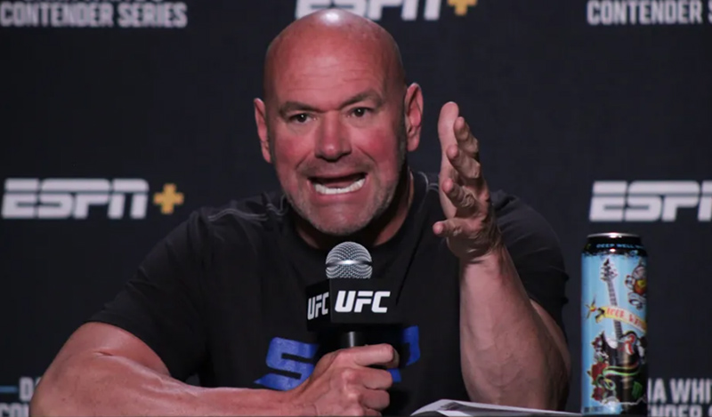 dana white krites ufc 307