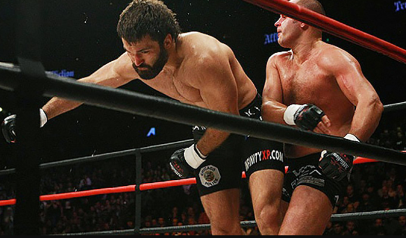 fedor emelianenko andrei arlovski 2