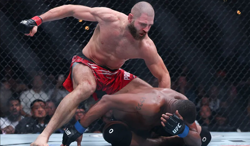 jiri prochazka holland ufc 311