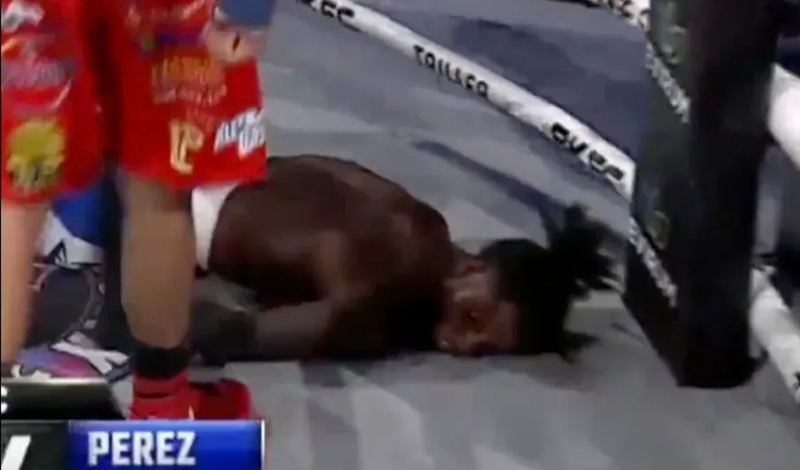 julio perez bkfc knockout