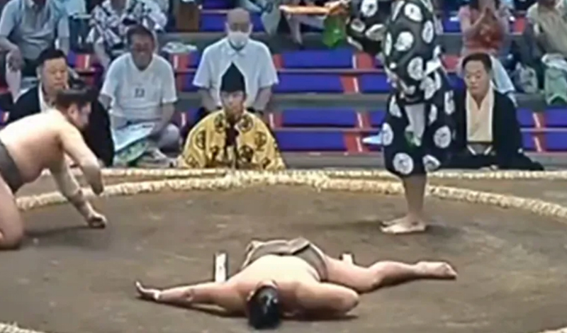 sumo knockout
