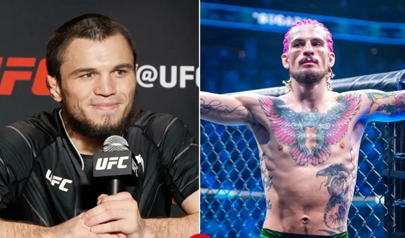 umar nurmagomedov sean omalley