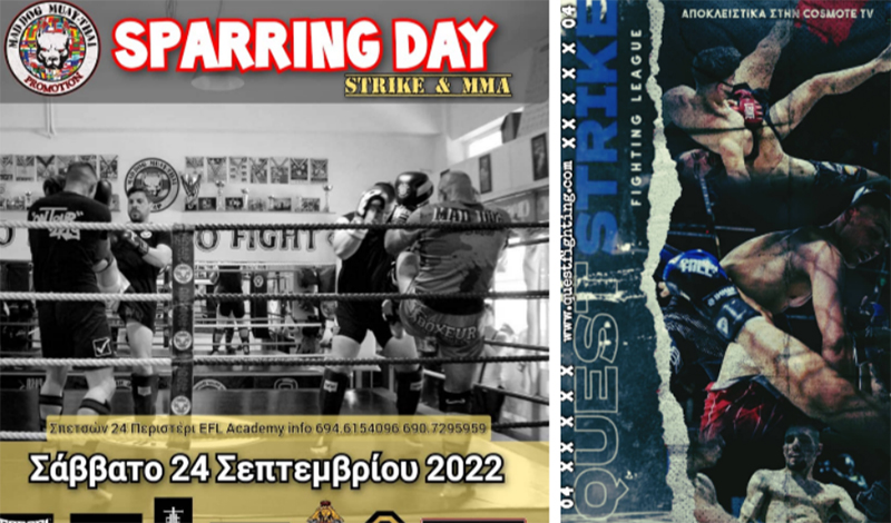 sparring day annis dometiou