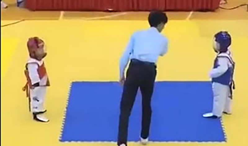 taekwondo 700