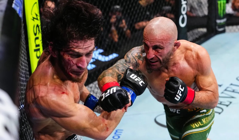 alexander volkanovski 43