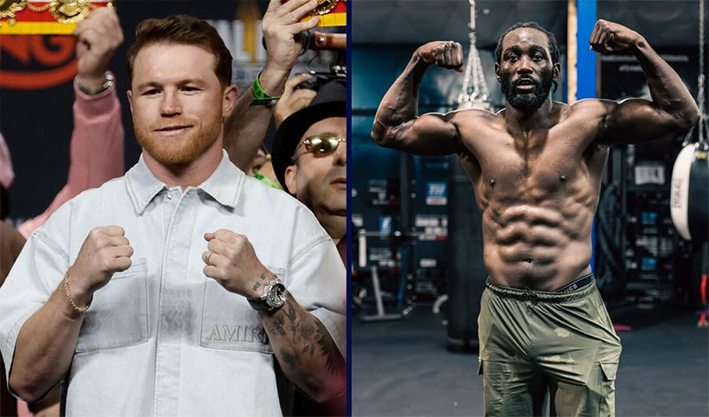 canelo crawford body