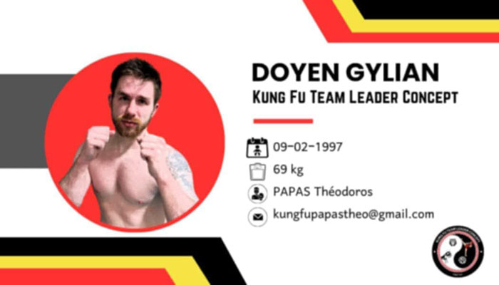 fight night greece vs belgium preveza poster 1