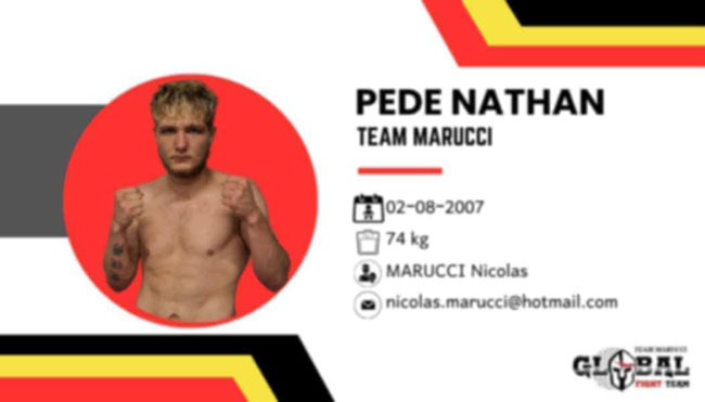 fight night greece vs belgium preveza poster 2