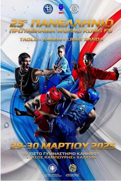 filis gym metallia panellinio sanda boxing 2025 2