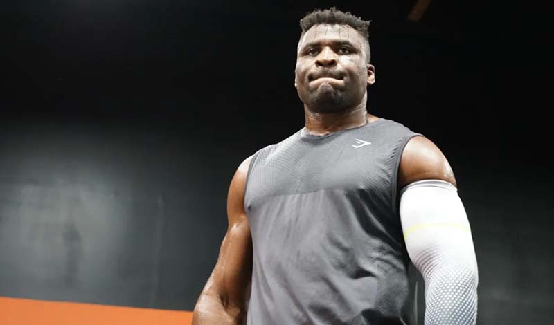 francis ngannou 93