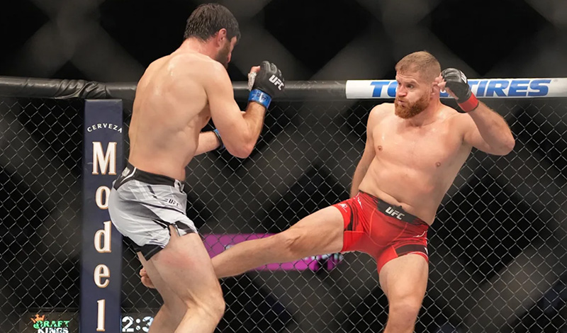 jan blachowicz magomed ankalaev 1