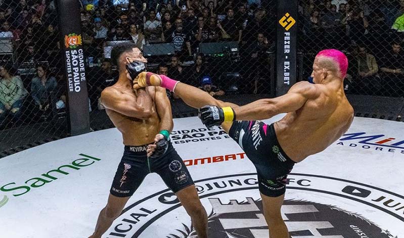 jungle fight 6