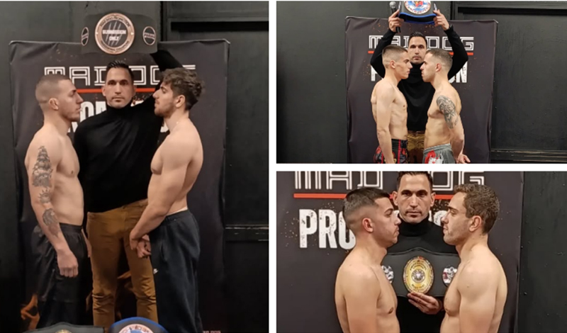 mad dog 33 cage conquest zygisi