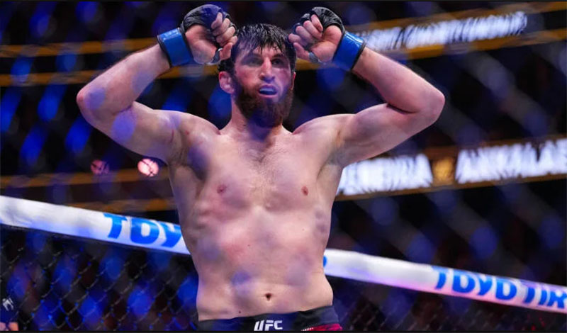 magomed ankalaev ribs