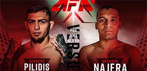 pilidis najera small