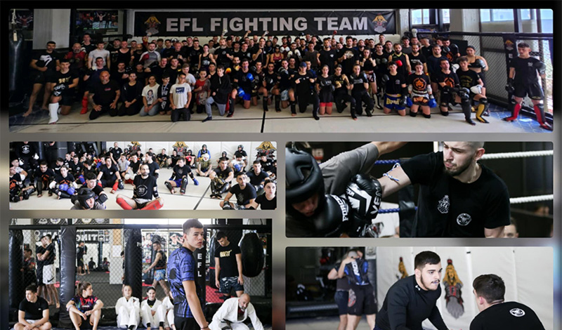 sparring day dometiou